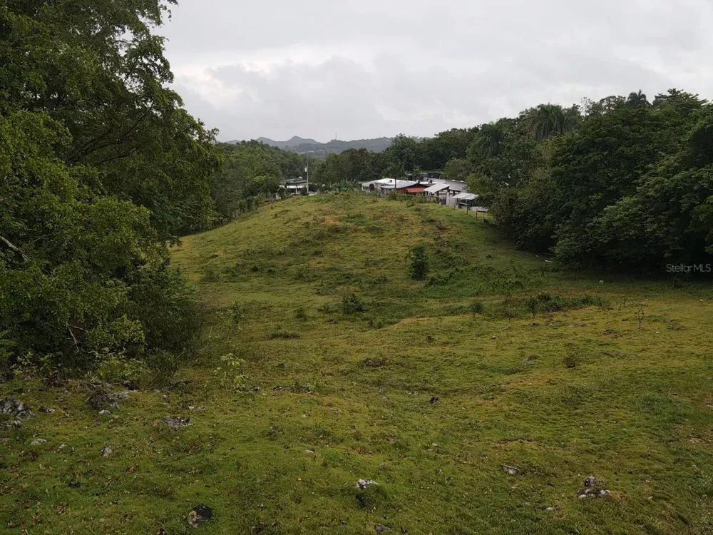 PR 6684 BUENA VISTA KM HM 2.5 Morovis, PR 00687