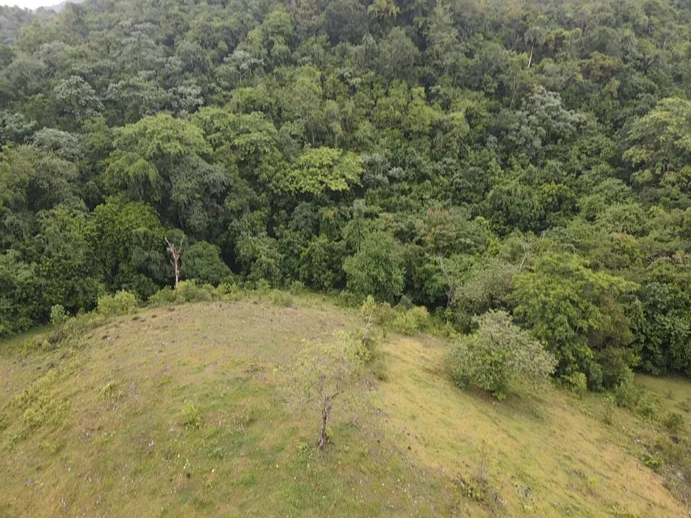 PR 6684 BUENA VISTA KM HM 2.5 Morovis, PR 00687