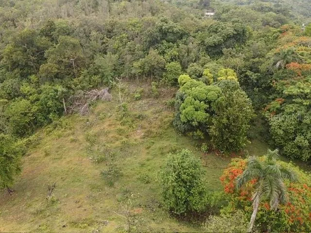 PR 6684 BUENA VISTA KM HM 2.5 Morovis, PR 00687