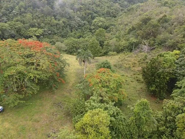 PR 6684 BUENA VISTA KM HM 2.5 Morovis, PR 00687