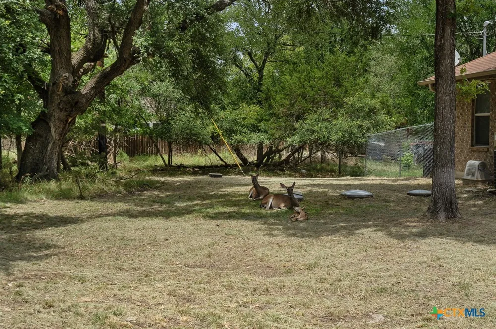 53 Buttercup Loop Belton, TX 76513