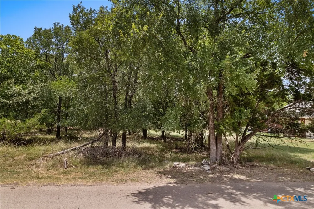 49 Buttercup Loop Belton, TX 76513