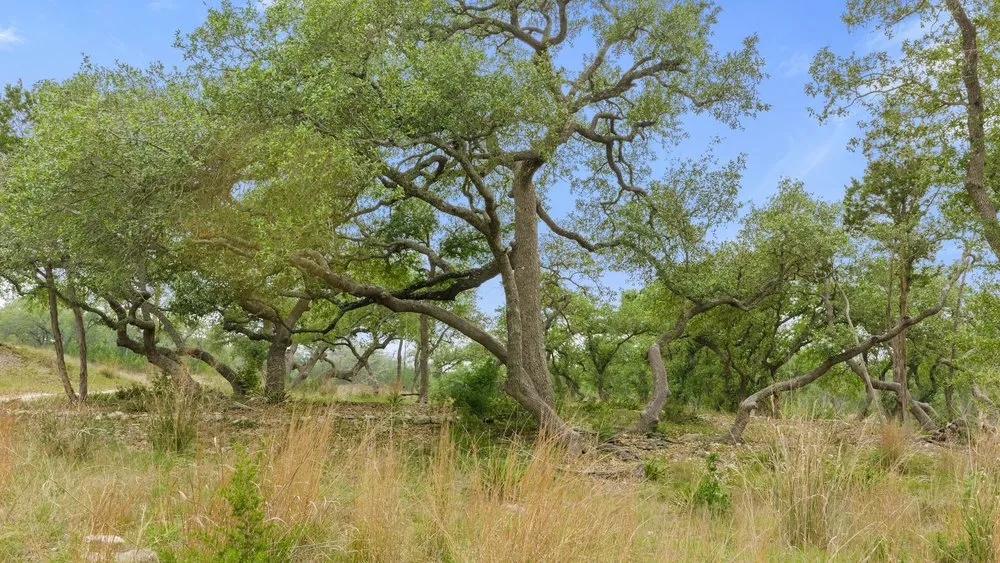 1850 Pursley Road Dripping Springs, TX 78620