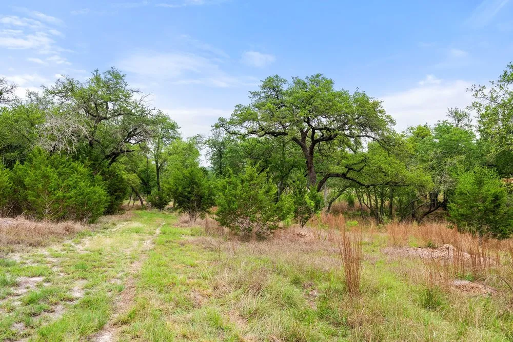 1850 Pursley Road Dripping Springs, TX 78620