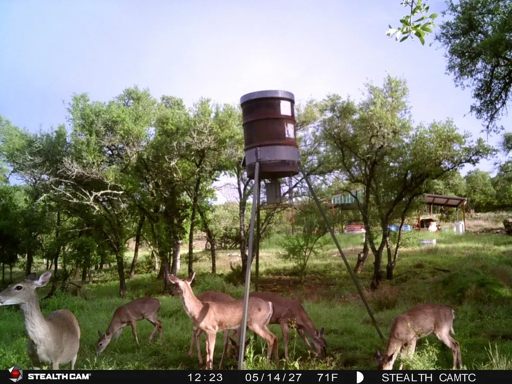 1850 Pursley Road Dripping Springs, TX 78620
