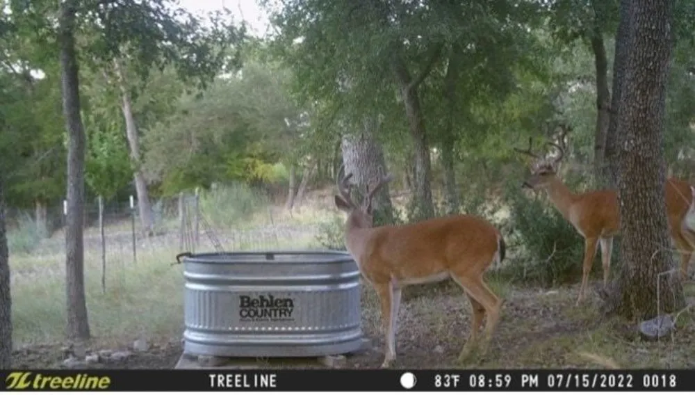 1850 Pursley Road Dripping Springs, TX 78620