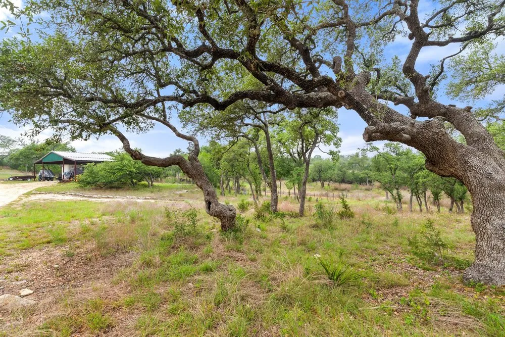 1850 Pursley Road Dripping Springs, TX 78620