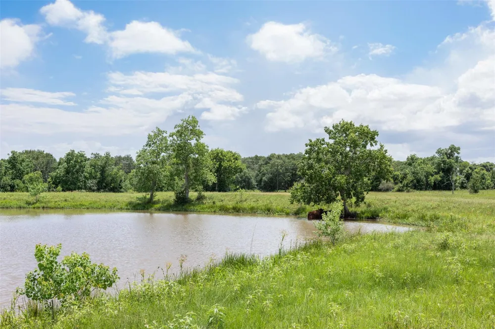 32675 Fm 1488 Road Hempstead, TX 77445