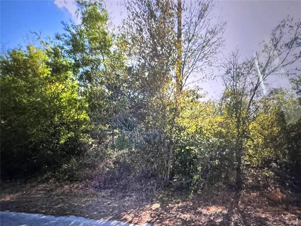 11409 8TH AVENUE Punta Gorda, FL 33955