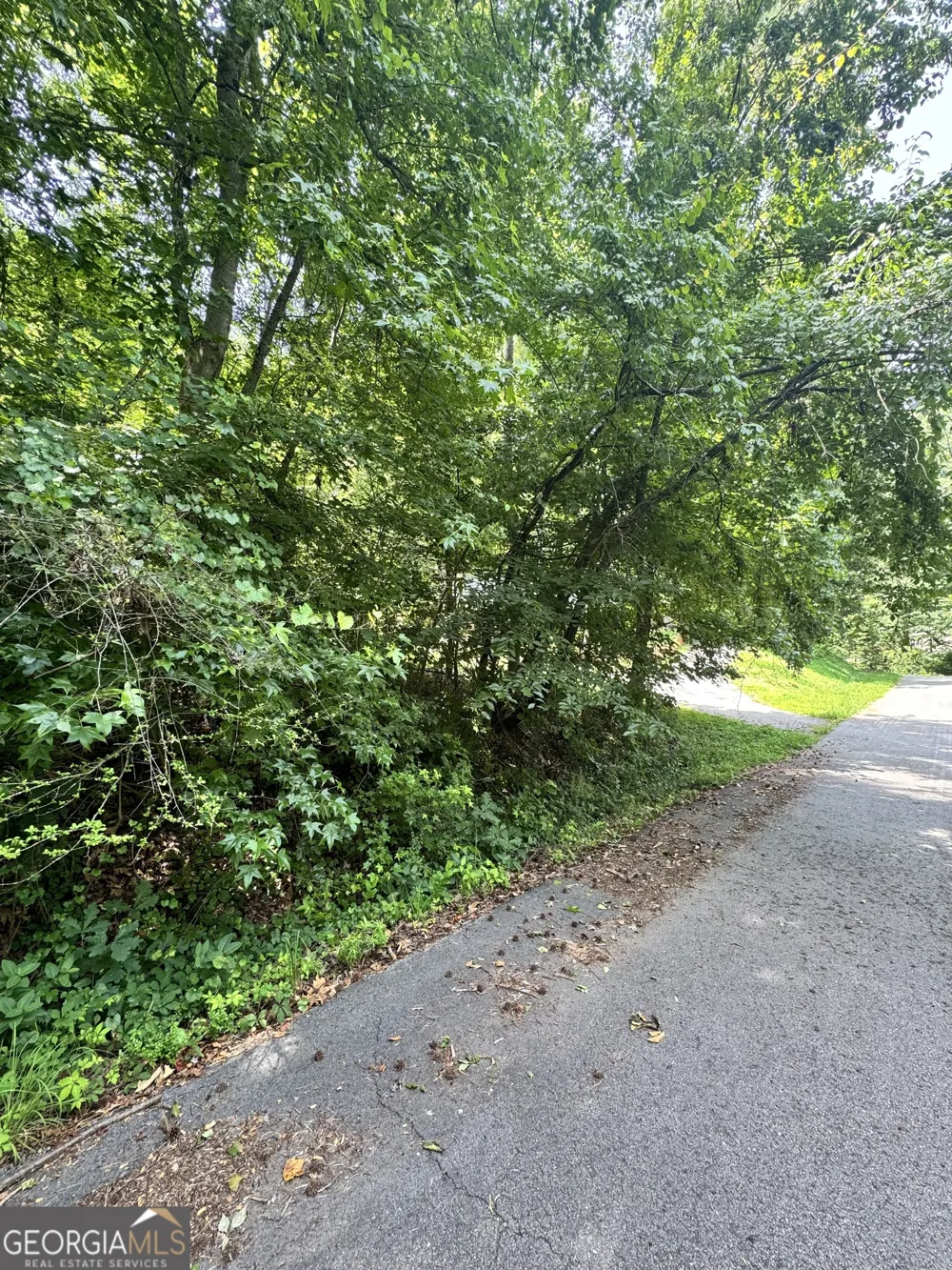 1469 Lakeside TRL Martin, GA 30557