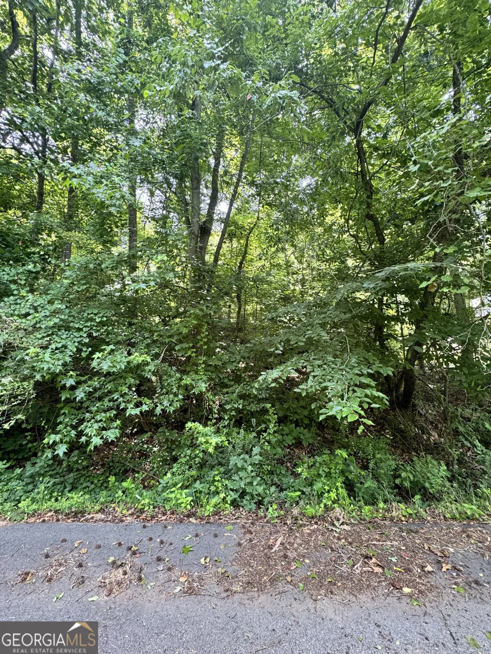 1469 Lakeside TRL Martin, GA 30557