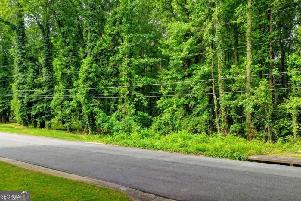 1389 Branchwood DR Snellville, GA 30078