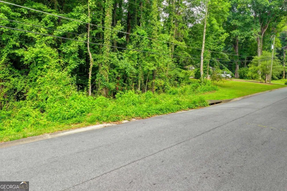 1389 Branchwood DR Snellville, GA 30078