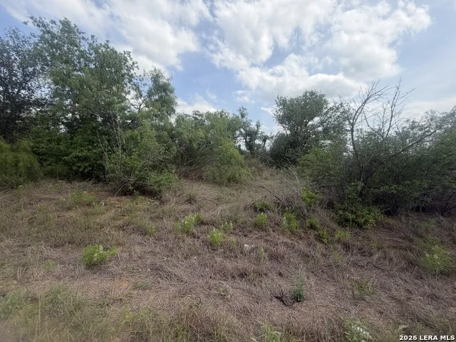 5835 Hardy Road Elmendorf, TX 78112