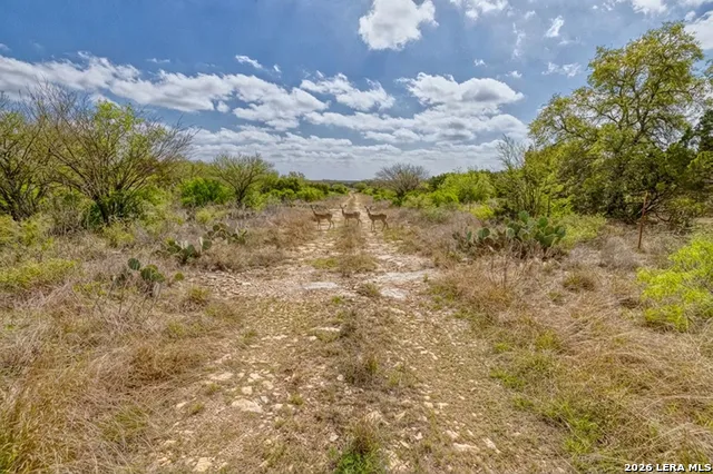 TBD Farm to Market 1796 Dhanis, TX 78860