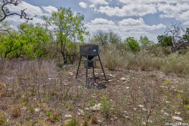 TBD Farm to Market 1796 Dhanis, TX 78860