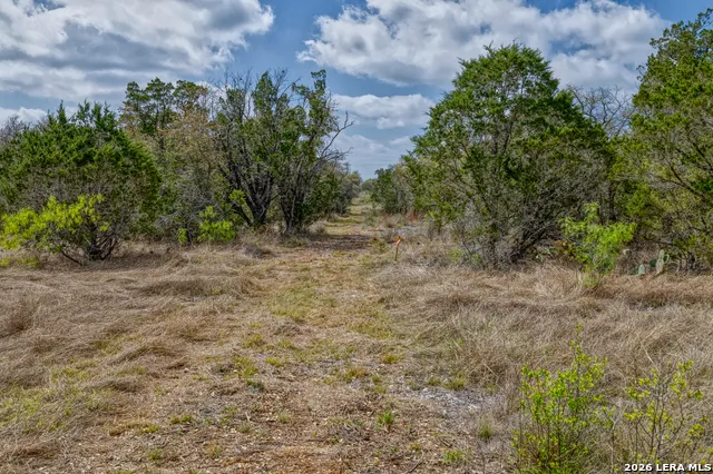 TBD Farm to Market 1796 Dhanis, TX 78860