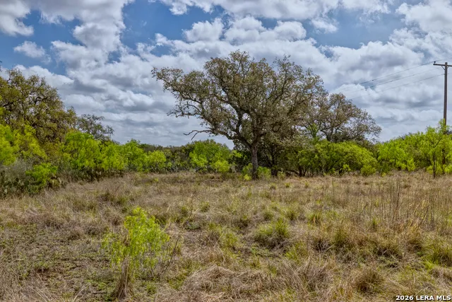 TBD Farm to Market 1796 Dhanis, TX 78860