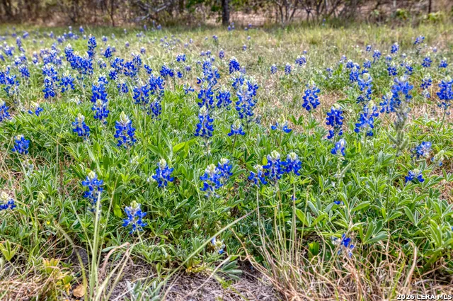 TBD Farm to Market 1796 Dhanis, TX 78860