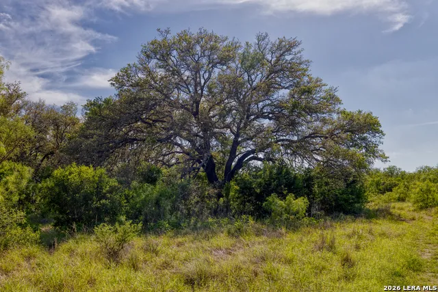TBD Farm to Market 1796 Dhanis, TX 78860