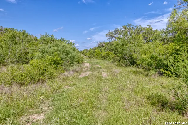 TBD Farm to Market 1796 Dhanis, TX 78860