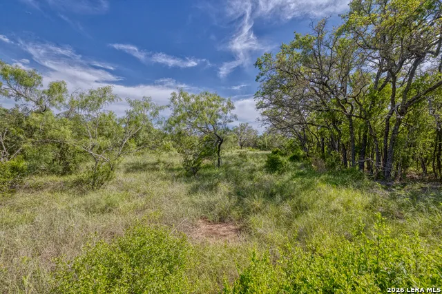 TBD Farm to Market 1796 Dhanis, TX 78860