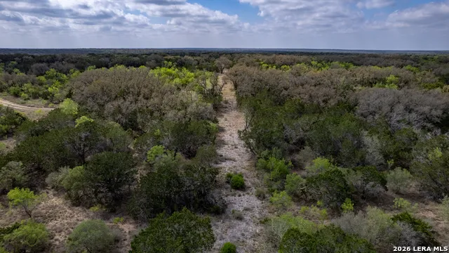 TBD Farm to Market 1796 Dhanis, TX 78860