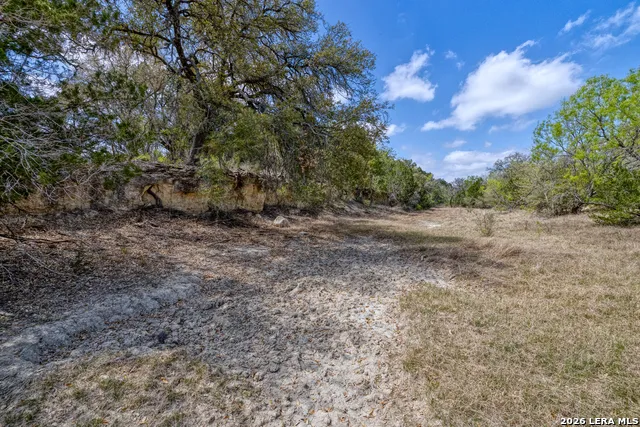 TBD Farm to Market 1796 Dhanis, TX 78860