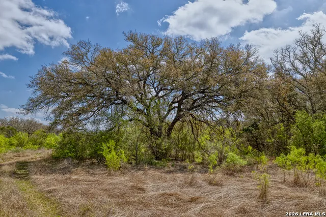 TBD Farm to Market 1796 Dhanis, TX 78860