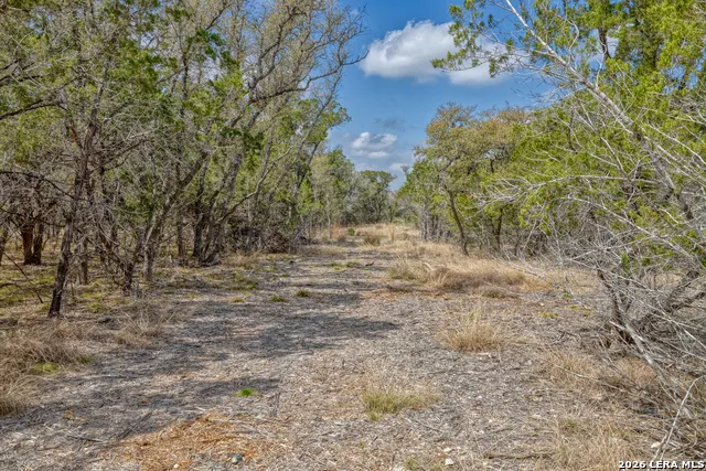 TBD Farm to Market 1796 Dhanis, TX 78860