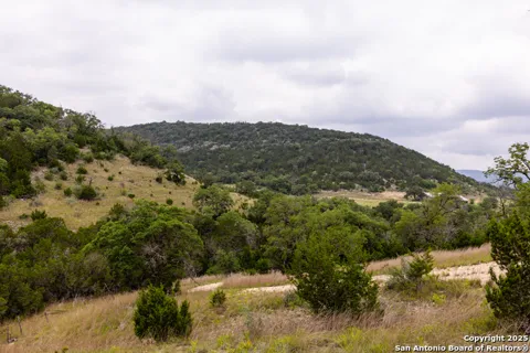 1616 mickle creek
