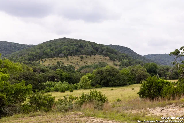 1616 mickle creek Medina, TX 78055