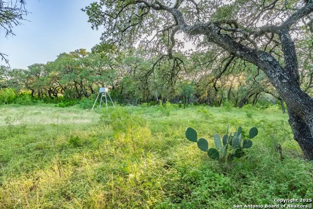 599 Mountain View Road Utopia, TX 78884