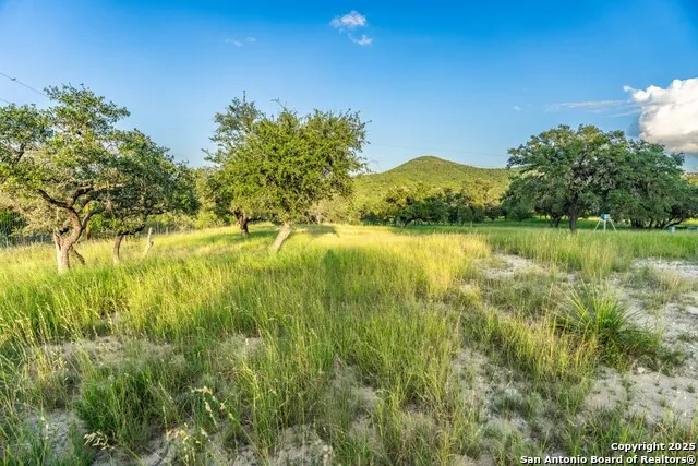 599 Mountain View Road Utopia, TX 78884