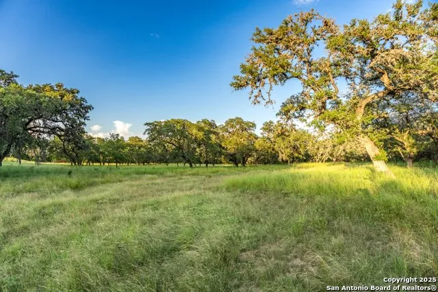 599 Mountain View Road Utopia, TX 78884