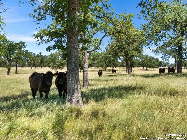 4369 Reeh Weinheimer Fredericksburg, TX 78624