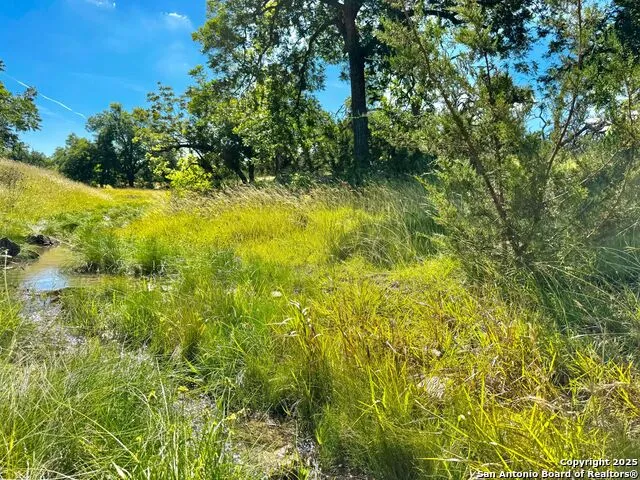 4369 Reeh Weinheimer Fredericksburg, TX 78624
