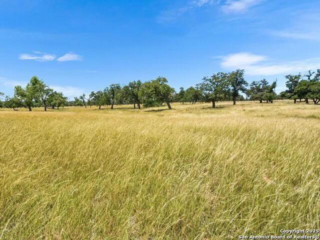 4369 Reeh Weinheimer Fredericksburg, TX 78624