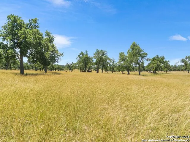 4369 Reeh Weinheimer Fredericksburg, TX 78624