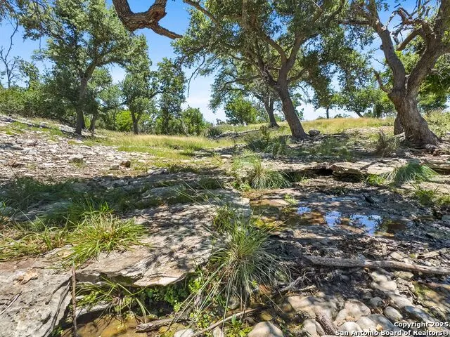 4369 Reeh Weinheimer Fredericksburg, TX 78624