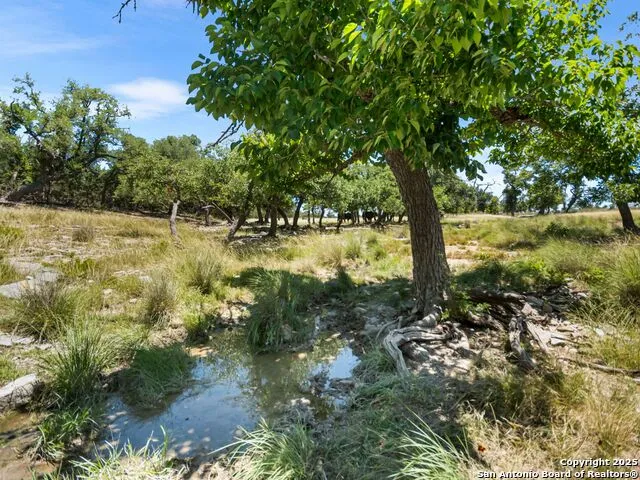 4369 Reeh Weinheimer Fredericksburg, TX 78624