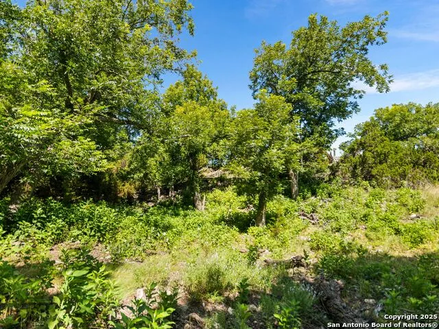 4369 Reeh Weinheimer Fredericksburg, TX 78624