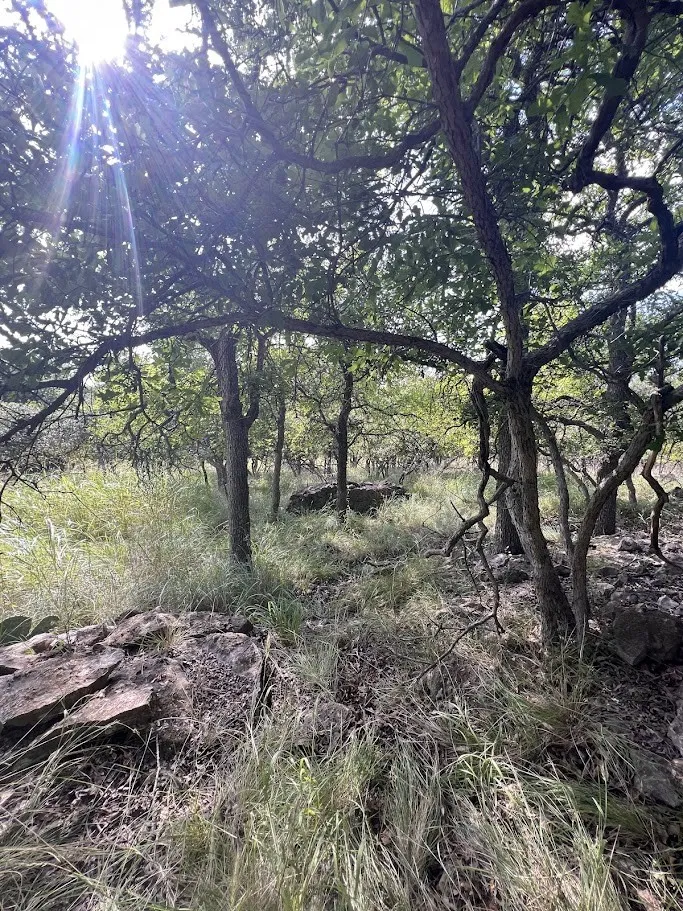 927 Cutter Circle May, TX 76857