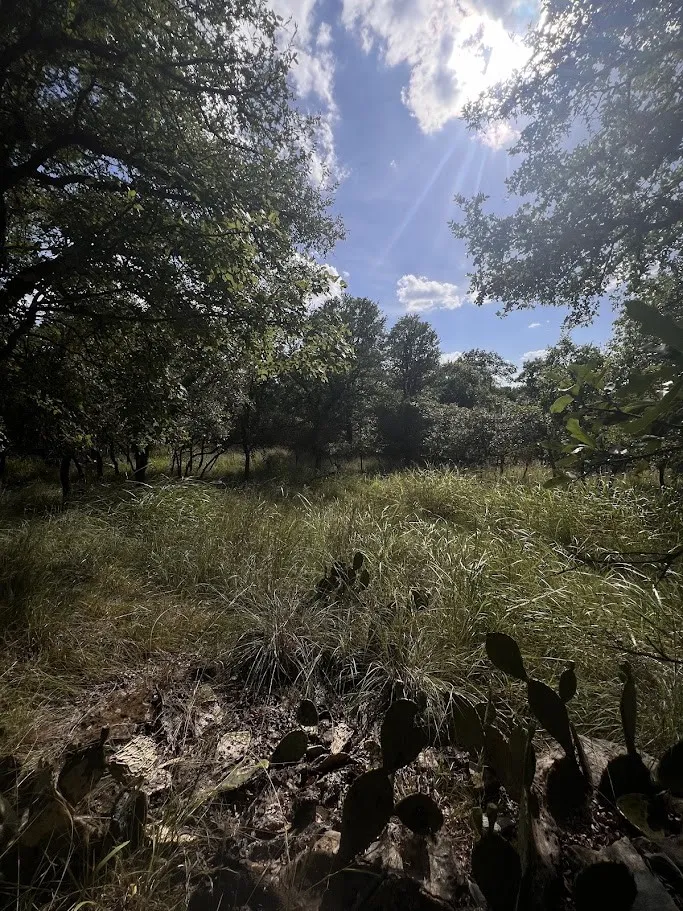 927 Cutter Circle May, TX 76857