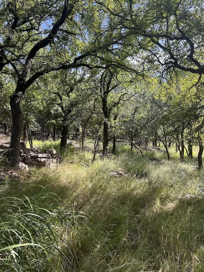 927 Cutter Circle May, TX 76857