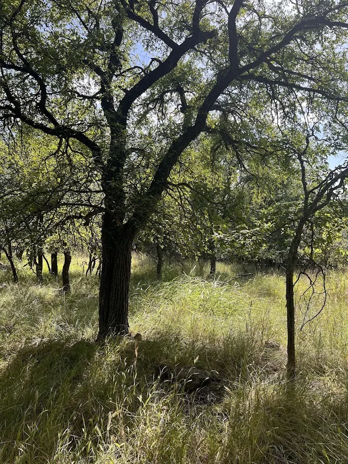 927 Cutter Circle May, TX 76857
