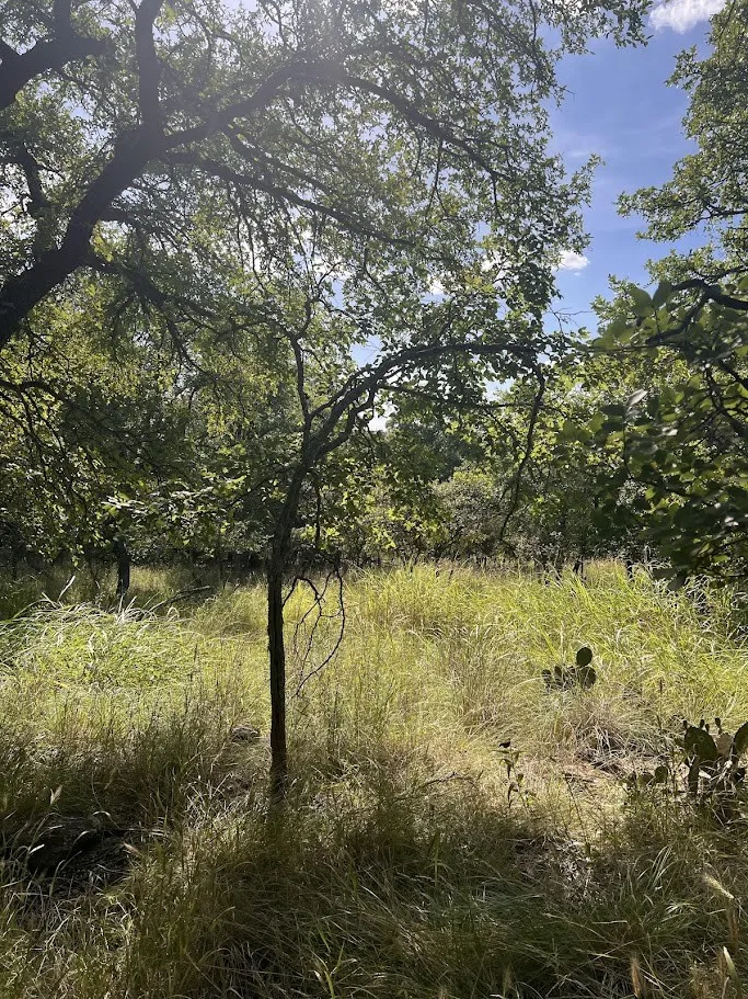 927 Cutter Circle May, TX 76857