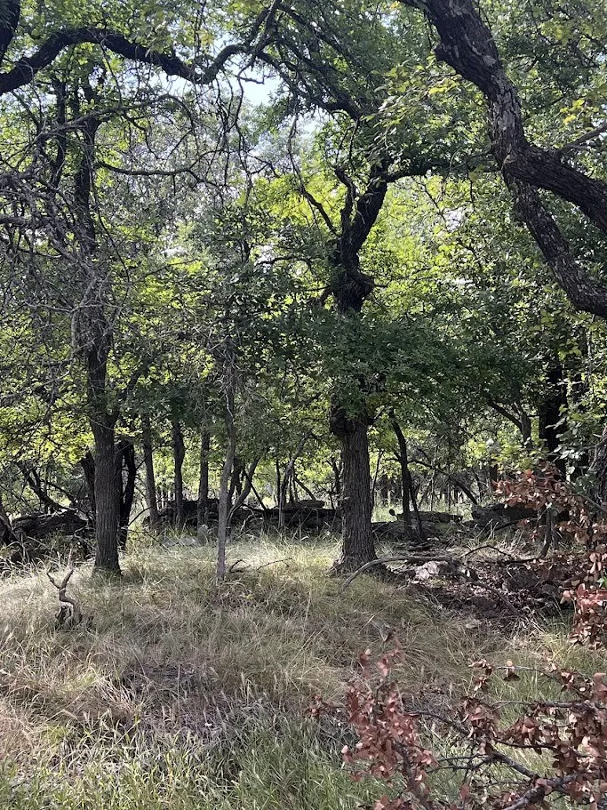 927 Cutter Circle May, TX 76857