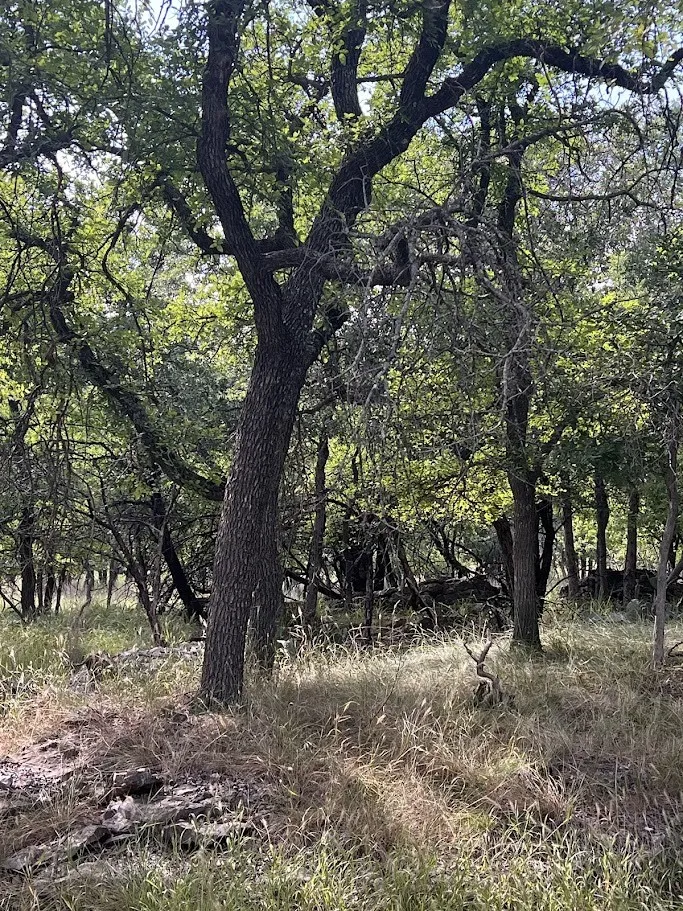 927 Cutter Circle May, TX 76857