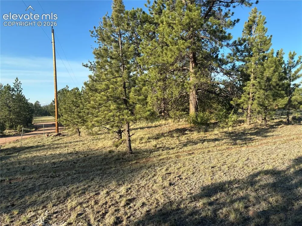 tbd Doe Valley Road Guffey, CO 80820